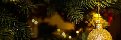 Image shows decorations on a Christmas tree. 