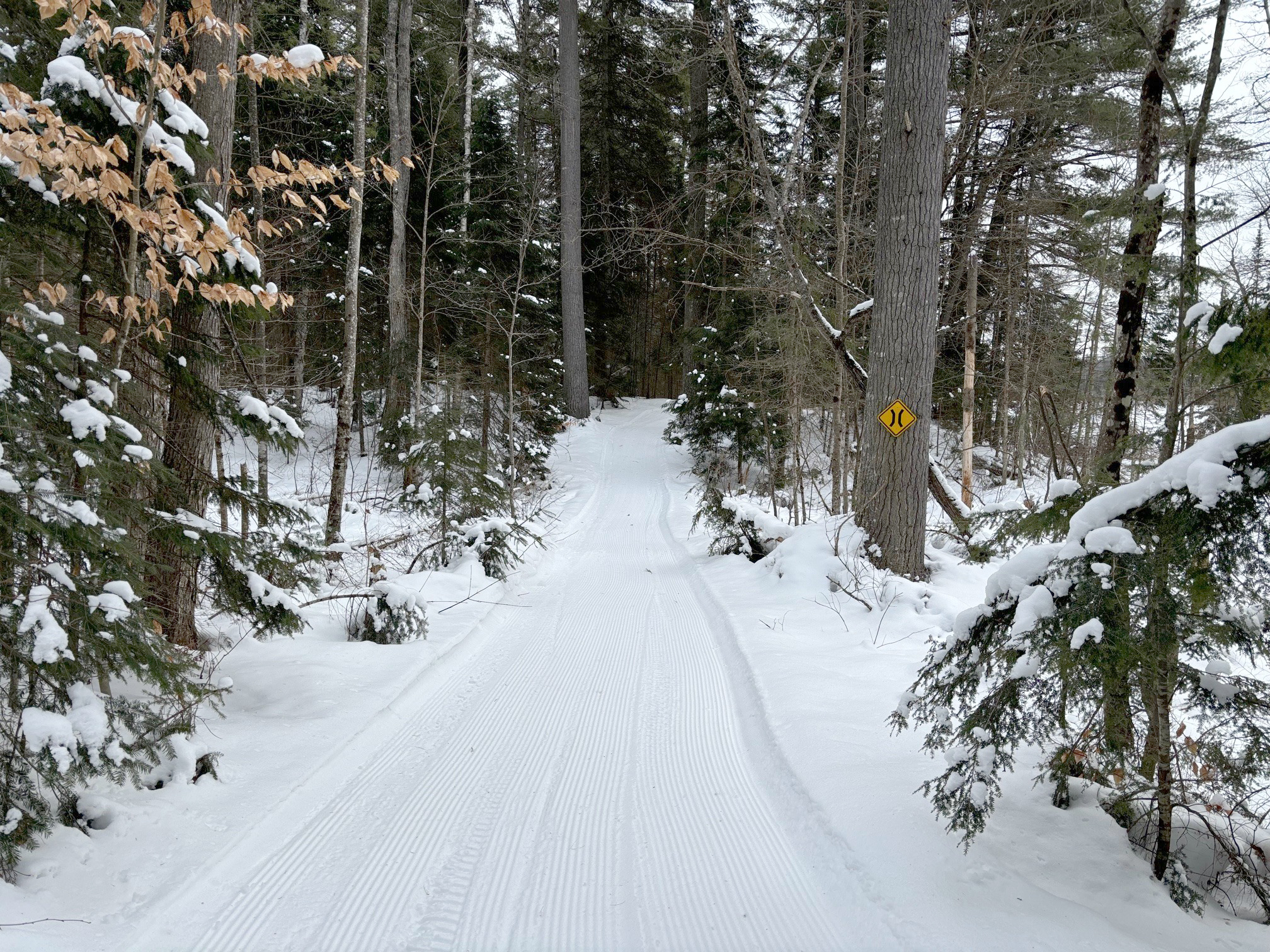 Image shows a freshly groomed ski trail.