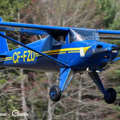 Image shows a blue propeller plane in flight. 