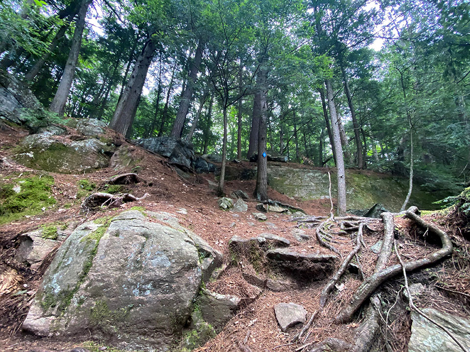 Image shows a steep hiking trail.