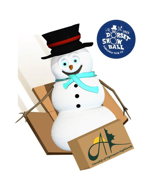 Image shows a snowman riding a cardboard toboggan with the Dorset Snowball Logo in the background.