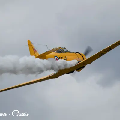 Image show a yellow RCAF plane in flight. 