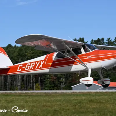 Image shows a plane on runway. 