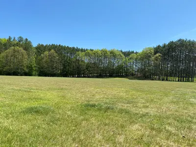 Image shows a grass field with mown lawn. 