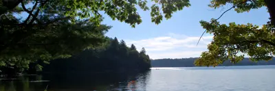 Images shows a lake in summer. 