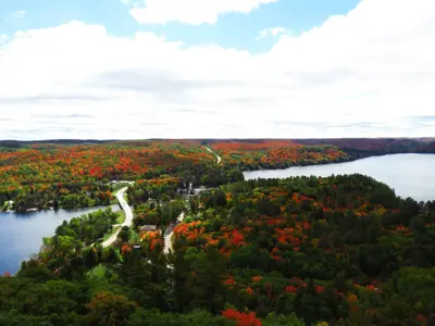 Image shows fall foliage as seen from the Dorset Scenic Lookout Tower. 