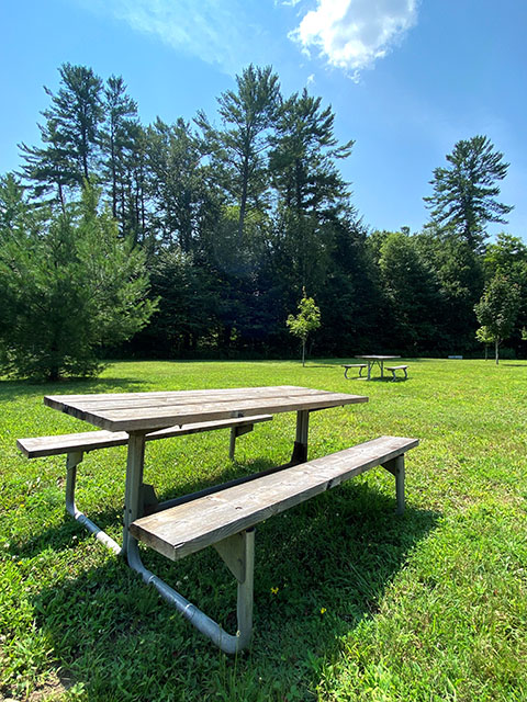 Image show picnic tables in Dorset Lions Centennial Park.