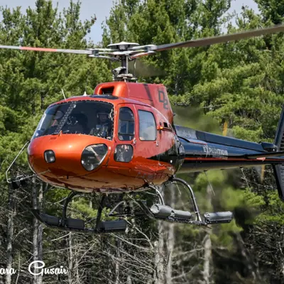 Image shows a red and black helicopter in flight. 